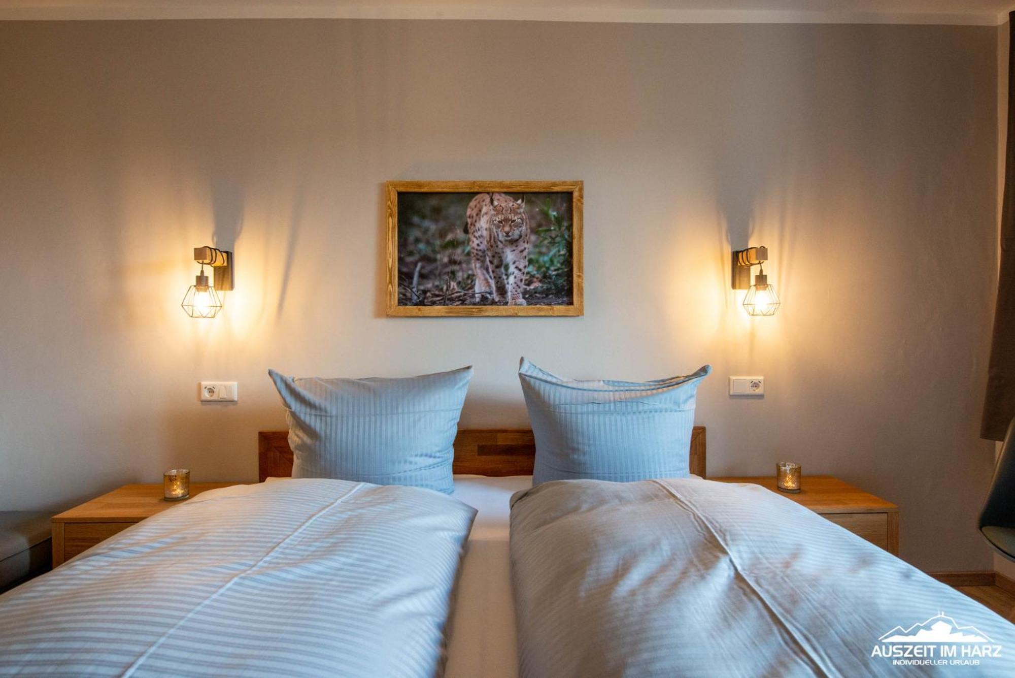 Auszeit-Im-Harz Haus 3 Wohnung 3 Braunlage Exteriör bild