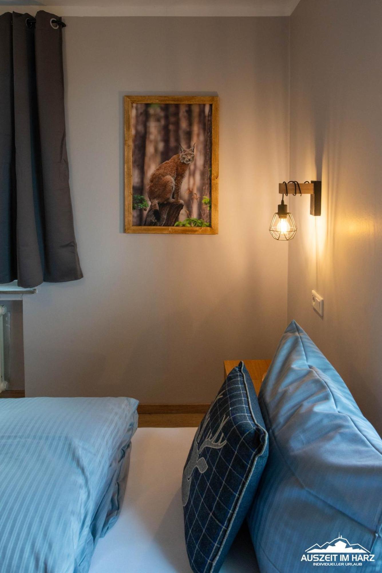 Auszeit-Im-Harz Haus 3 Wohnung 3 Braunlage Exteriör bild