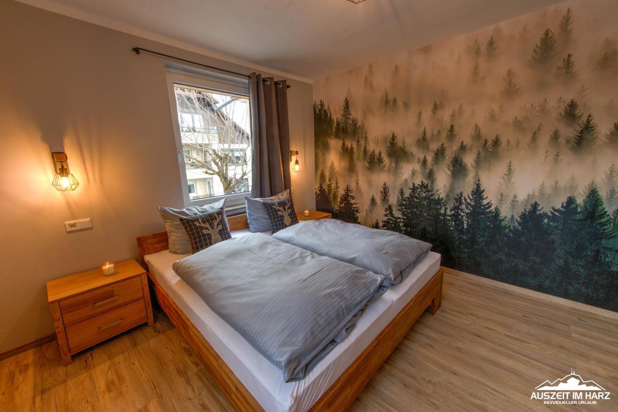 Auszeit-Im-Harz Haus 3 Wohnung 3 Braunlage Exteriör bild