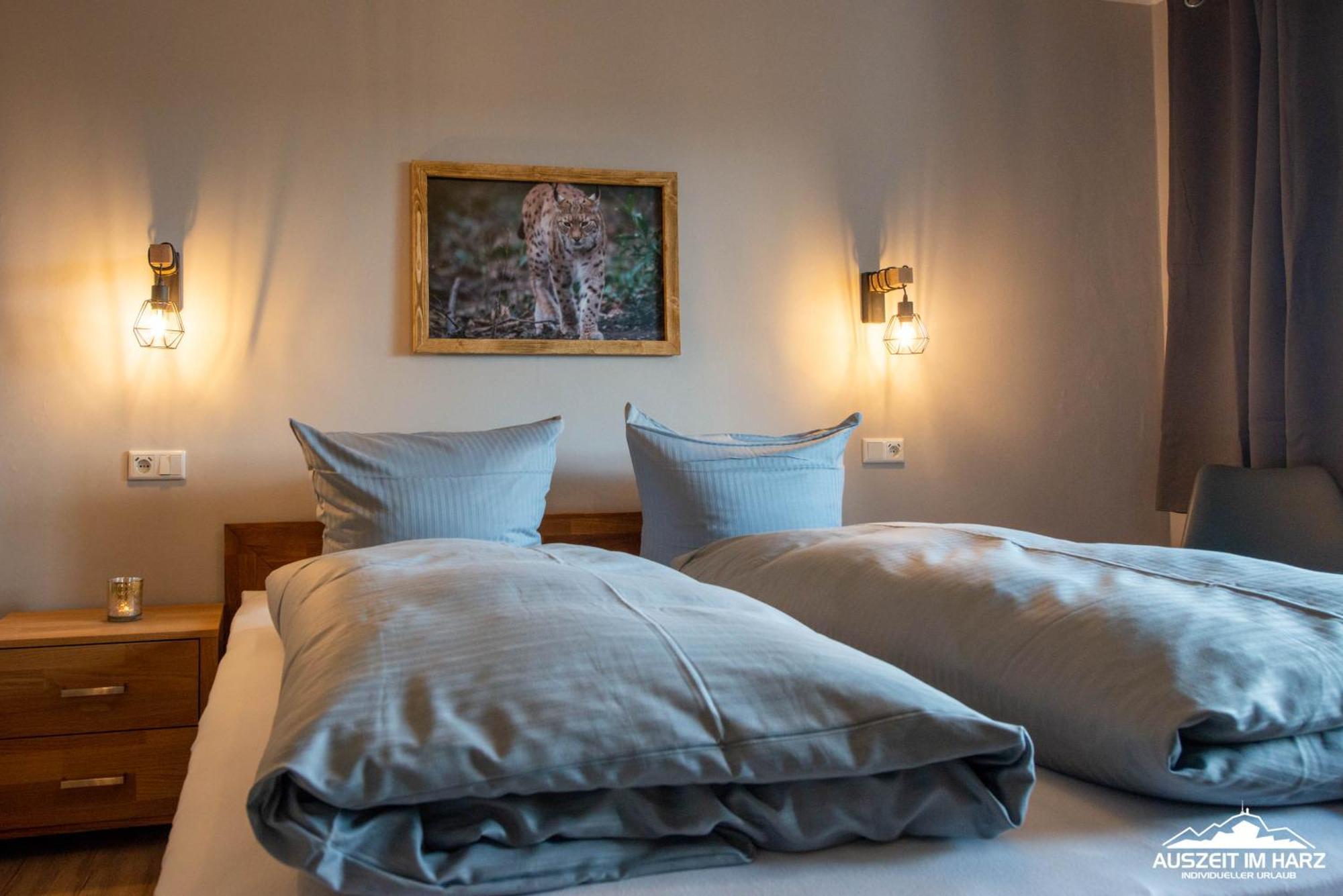 Auszeit-Im-Harz Haus 3 Wohnung 3 Braunlage Exteriör bild