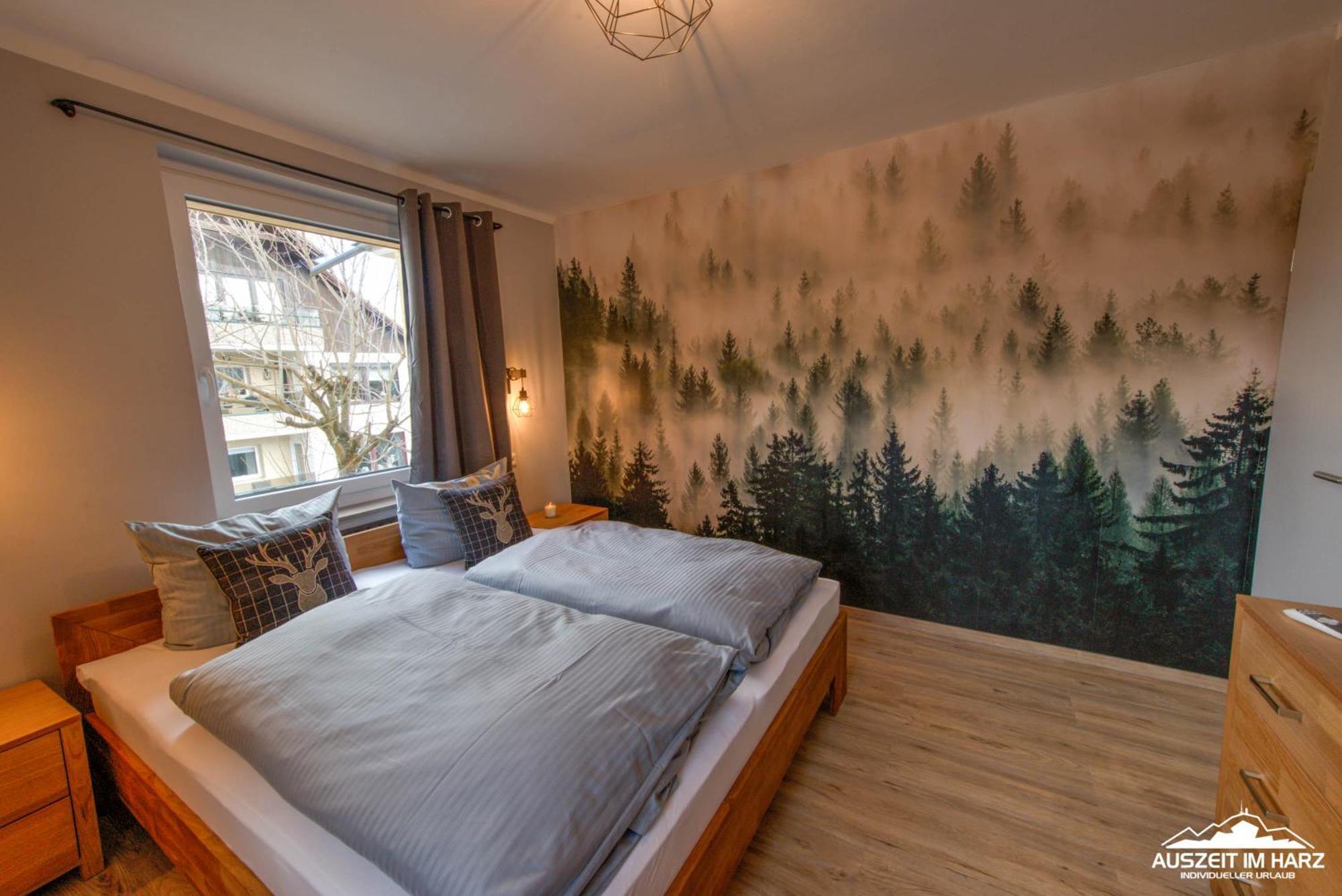 Auszeit-Im-Harz Haus 3 Wohnung 3 Braunlage Exteriör bild